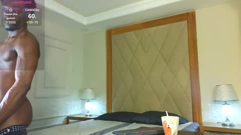 Janstallions online show from 03.12.25