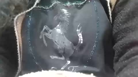 jasspreettt online show from 02.02.25