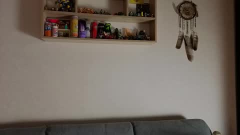 jastinpet online show from 11.13.25