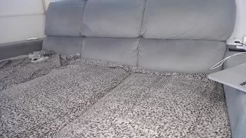 Javier  online show from 12.05.24