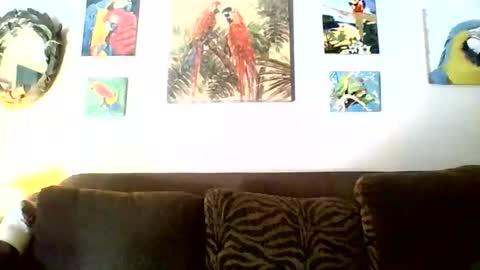 jay-jay1475 online show from 11.17.25