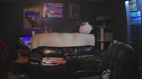 Grand Zaddy or Jay its casual online show from 03.15.26