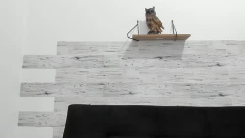 Jaycreedd online show from 09.10.25