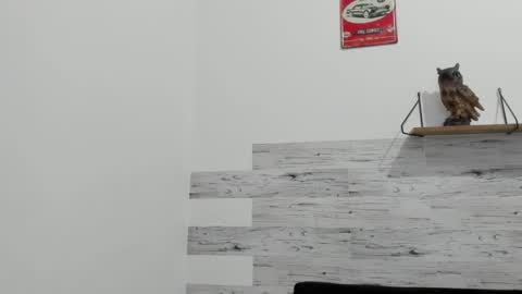 Jaycreedd online show from 09.16.25