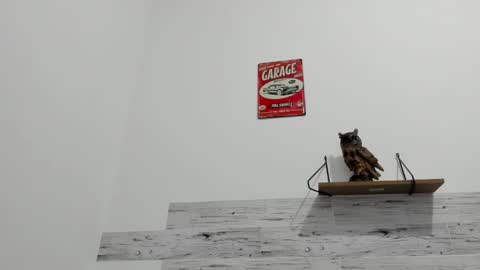 Jaycreedd online show from 09.29.25