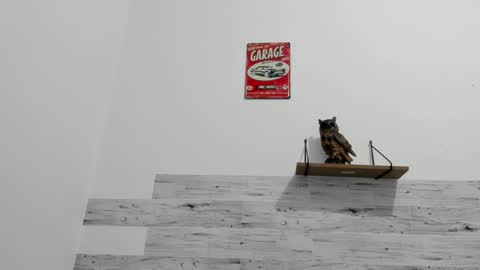 Jaycreedd online show from 11.21.25