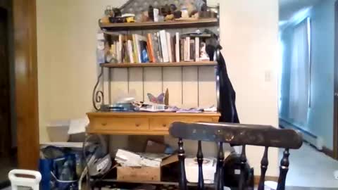 jaythenorth online show from 02.11.26