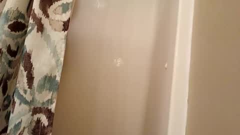 jaywulf22 online show from 11.04.25