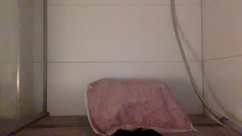 Snapshot of jayzee1996 chatting on 10.09.25 Hafte online show from 10.09.25