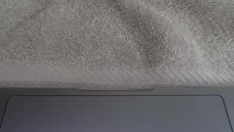 jbrecht8 online show from 04.21.26