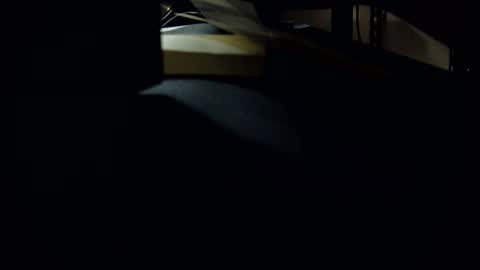 Snapshot of jbvgjjj chatting on 03.01.25 dookie online show from 03.01.25