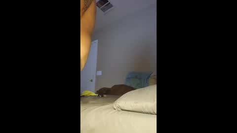 jdtripp15 online show from 01.13.26