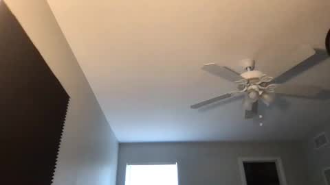 jeanwhitebianco online show from 11.26.25