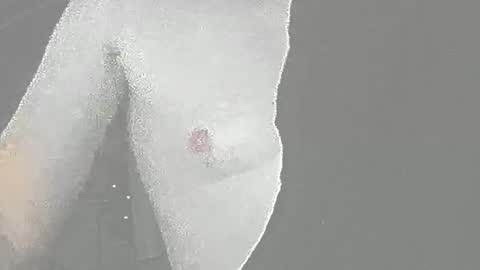 jedishy925585 online show from 11.18.25