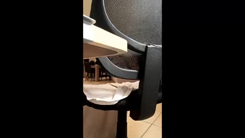 jefffman_74 online show from 05.28.26