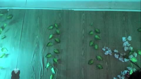 Jenelotizz online show from 09.27.25