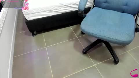 Snapshot of jenny_stark chatting on 02.19.26 jenny_stark online show from 02.19.26