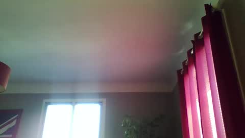 jerflor online show from 04.17.26