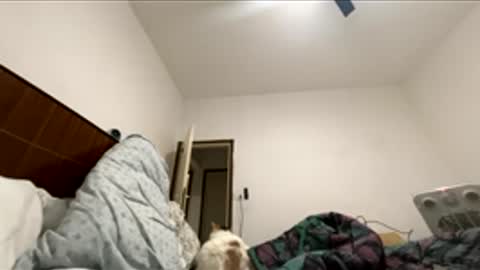 jericho810333 online show from 03.30.26