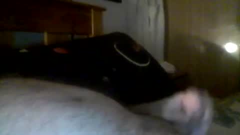 jerkmate6666 online show from 12.21.24