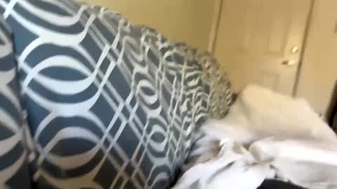 Snapshot of jerkstar16 chatting on 12.05.24 Jerkstar16 online show from 12.05.24