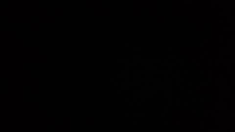 roee online show from 12.28.24