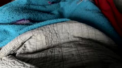 Jeremys room chill and puff one enjoy online show from 12.25.24