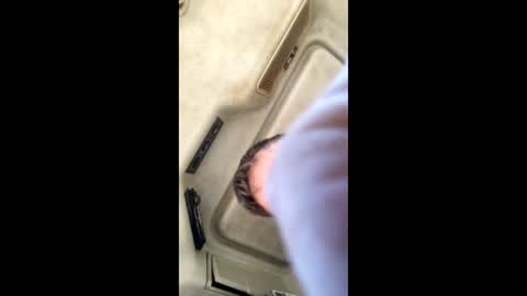 jesaj online show from 11.26.25