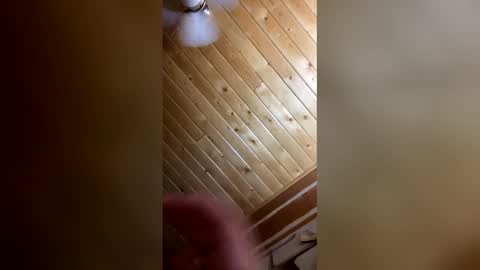 jessicajames0101 online show from 05.29.26