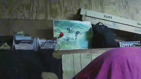 Dixon Cider online show from 03.06.25