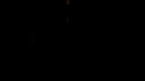 jestersquid89 online show from 09.13.25