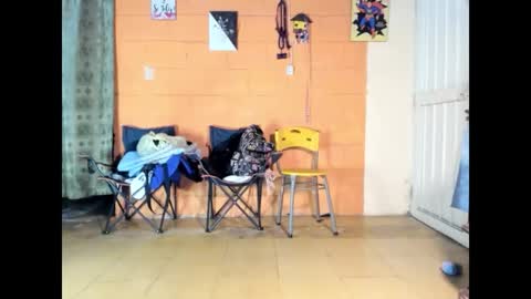 Jharol  online show from 03.14.26