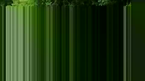 jhernand online show from 01.12.26