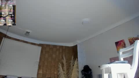 jhonaldsw online show from 01.20.25