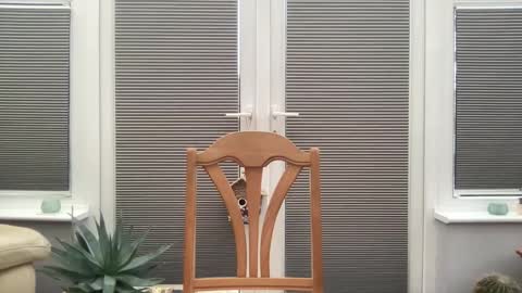 Jigz1986 online show from 02.10.25