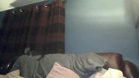 jilfyj online show from 03.15.26