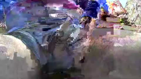 jimii281 online show from 01.12.26