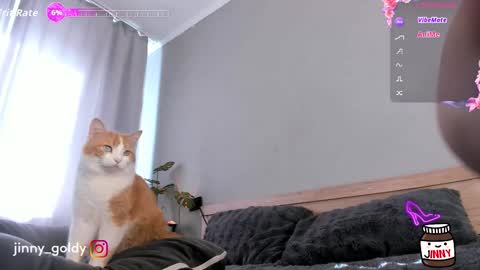 MY NEW INSTA jinny goldy online show from 02.15.26