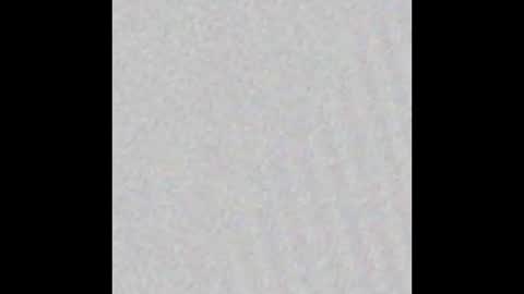 Snapshot of jinscreet chatting on 02.20.25 jinscreet online show from 02.20.25