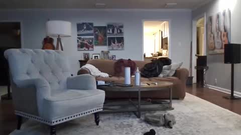 jkelly92081bean online show from 11.21.25