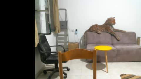 Snapshot of jlmbud chatting on 10.11.25 jlmbud online show from 10.11.25