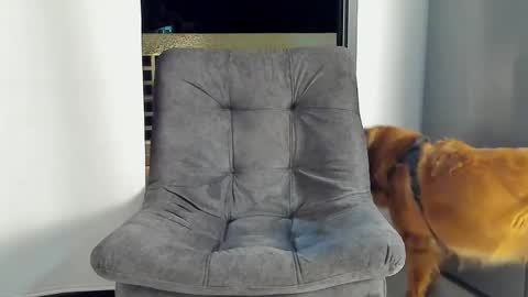 Snapshot of joan_saenz chatting on 01.09.25 JOAN SAENZ online show from 01.09.25