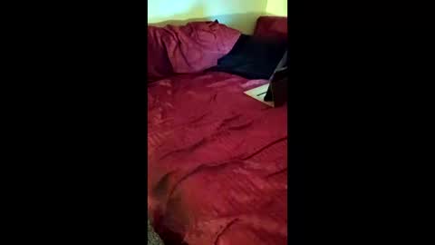 joeborrowman7 online show from 03.01.26