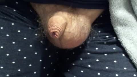 jof075 online show from 01.06.26