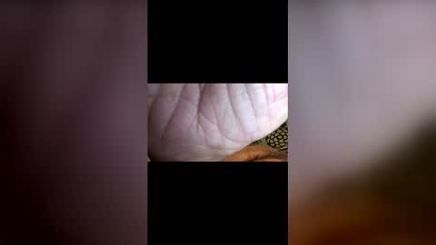 john091254 online show from 04.26.26