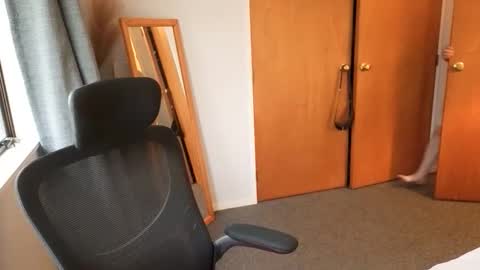 john_bear1 online show from 04.06.26