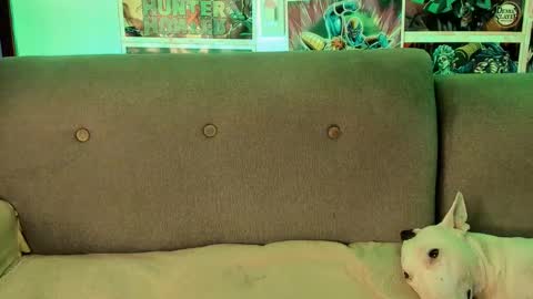 Snapshot of johncarrie chatting on 09.28.25 John carrie Independent Help me reach my goal 100 likes and 10000 followers online show from 09.28.25