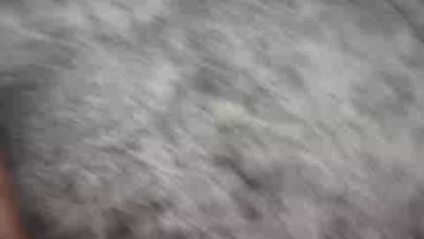 Johnny online show from 12.21.24