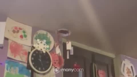 Snapshot of johnnyshung1 chatting on 12.16.24 johnnyshung1 online show from 12.16.24