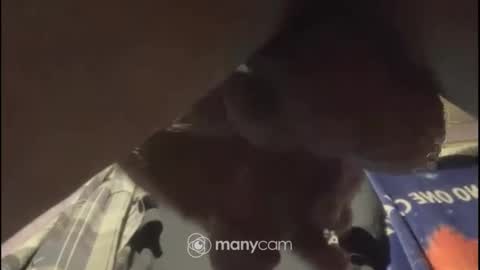 Snapshot of johnnyshung1 chatting on 02.02.25 johnnyshung1 online show from 02.02.25